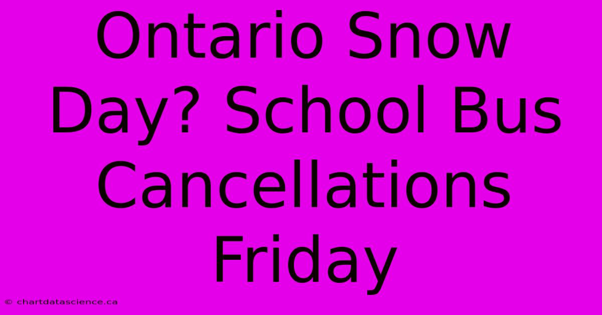 Ontario Snow Day? School Bus Cancellations Friday