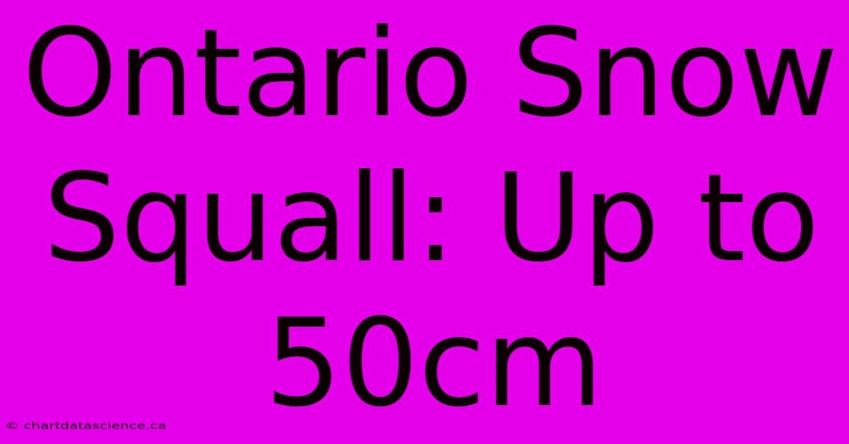 Ontario Snow Squall: Up To 50cm