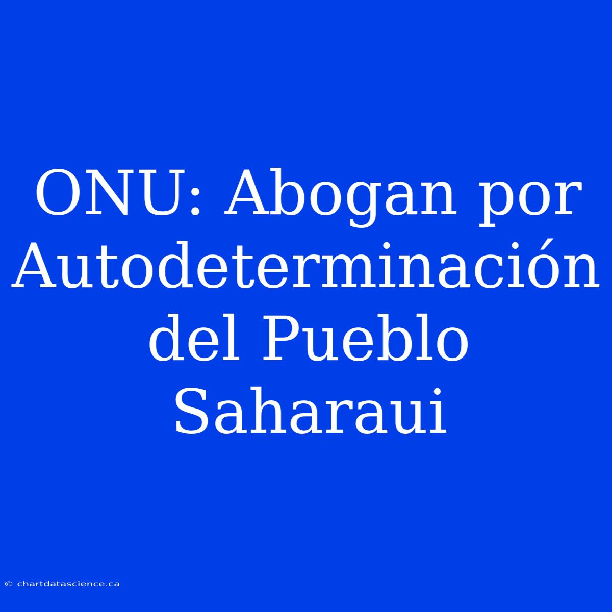 ONU: Abogan Por Autodeterminación Del Pueblo Saharaui