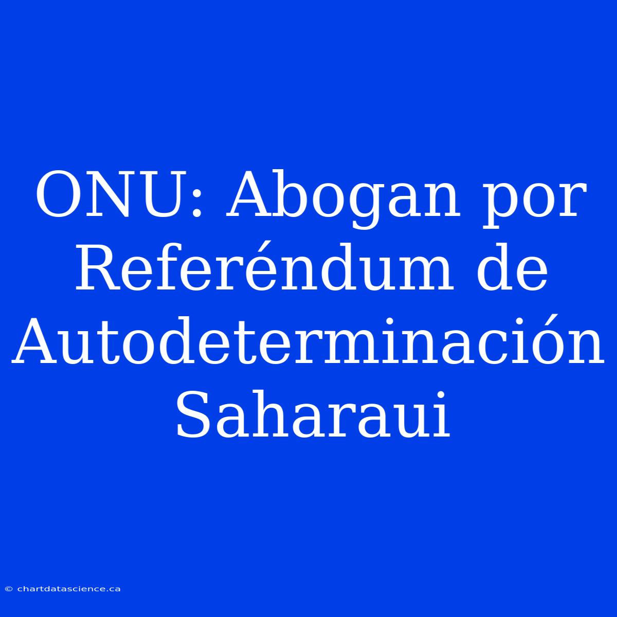 ONU: Abogan Por Referéndum De Autodeterminación Saharaui