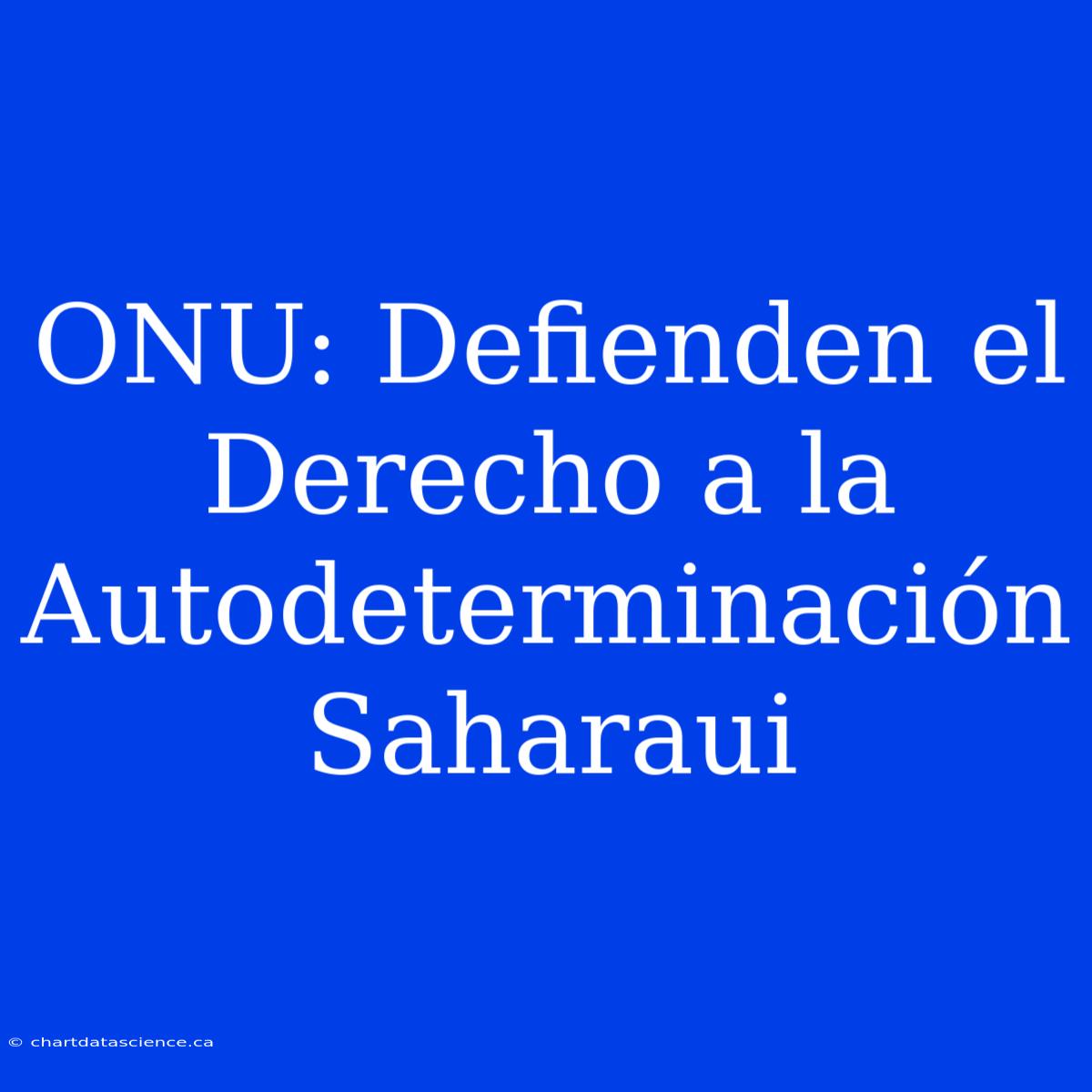 ONU: Defienden El Derecho A La Autodeterminación Saharaui