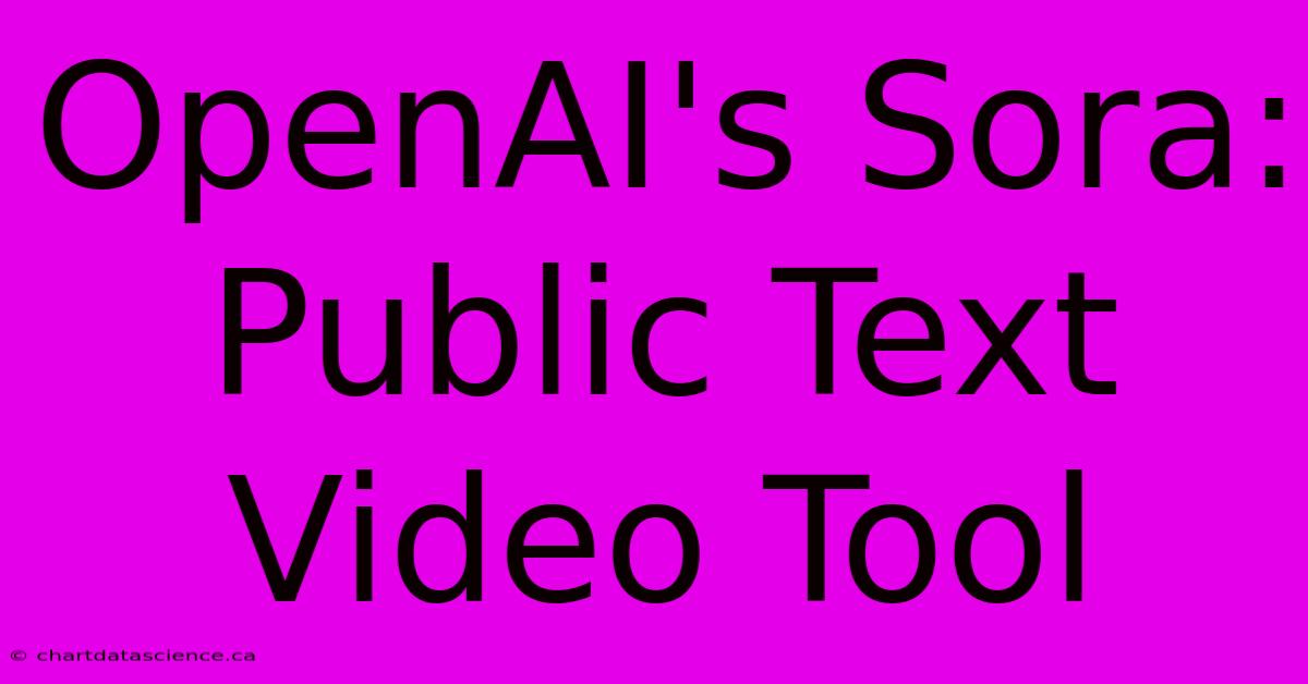 OpenAI's Sora: Public Text Video Tool