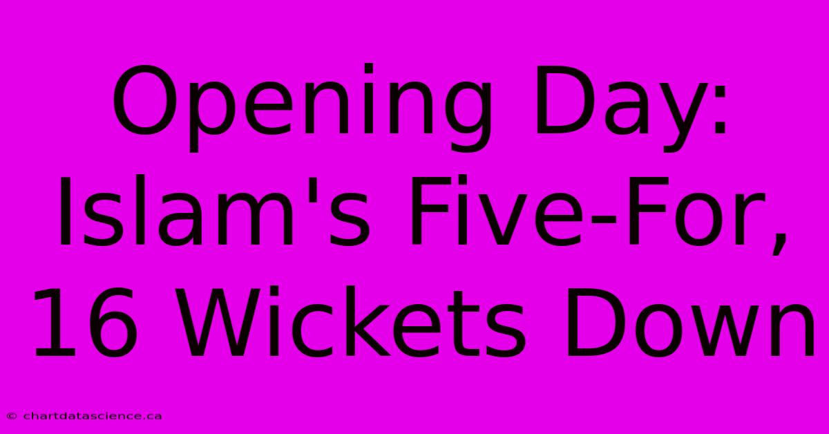 Opening Day: Islam's Five-For, 16 Wickets Down