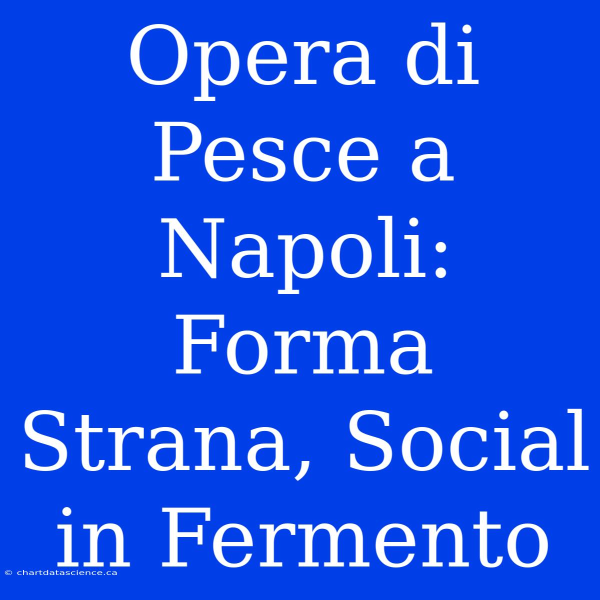 Opera Di Pesce A Napoli: Forma Strana, Social In Fermento