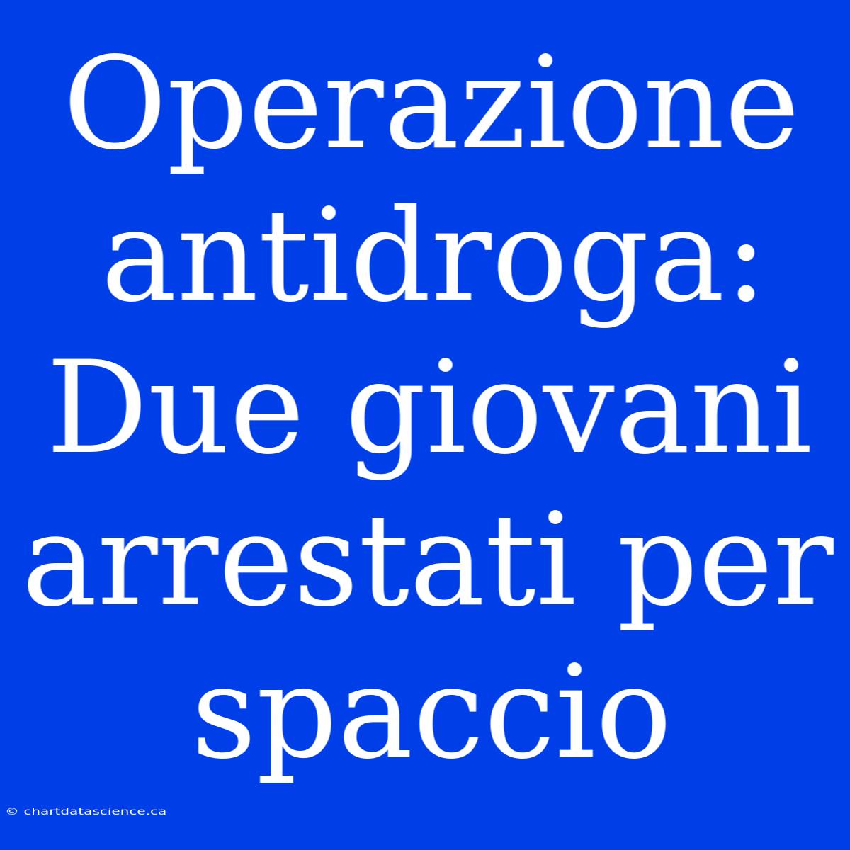 Operazione Antidroga: Due Giovani Arrestati Per Spaccio