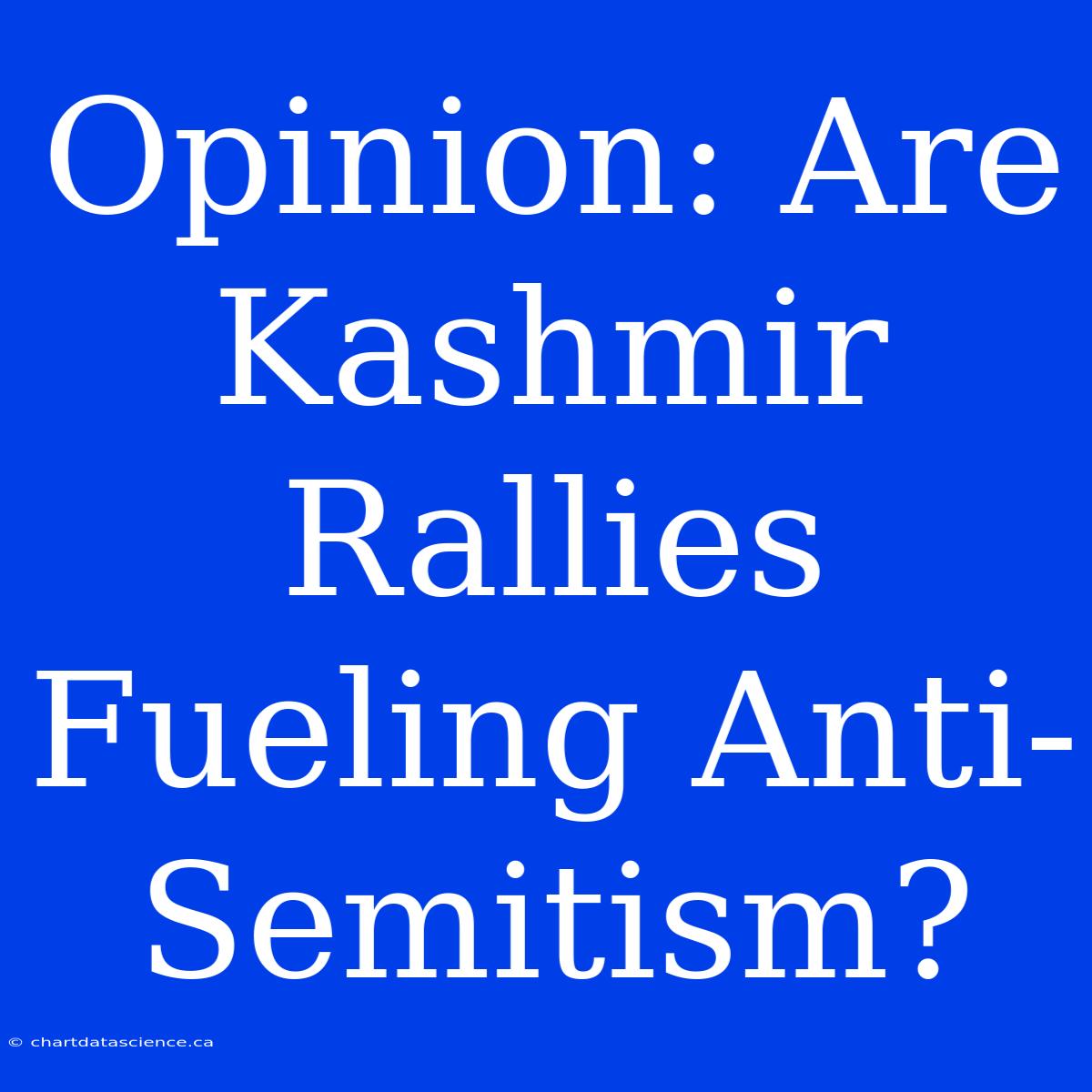 Opinion: Are Kashmir Rallies Fueling Anti-Semitism?