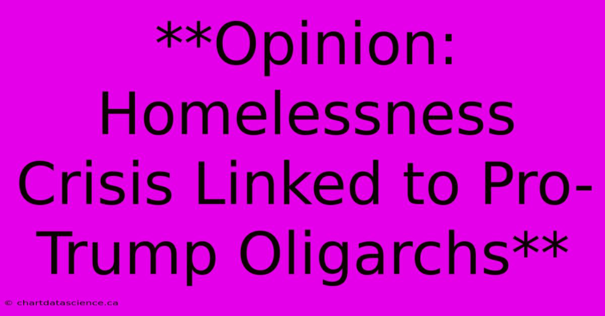 **Opinion: Homelessness Crisis Linked To Pro-Trump Oligarchs**