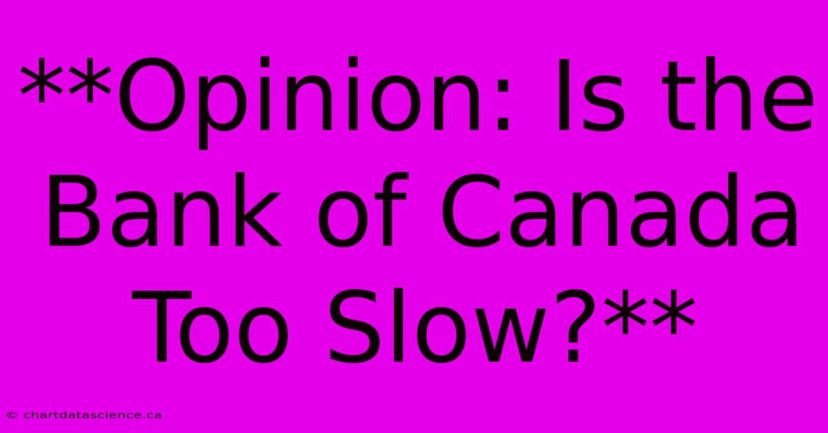 **Opinion: Is The Bank Of Canada Too Slow?** 