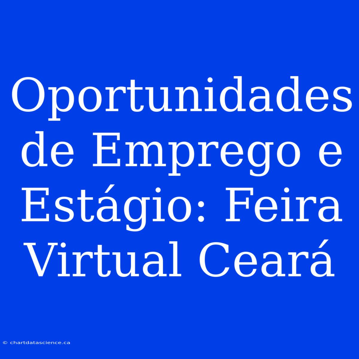 Oportunidades De Emprego E Estágio: Feira Virtual Ceará