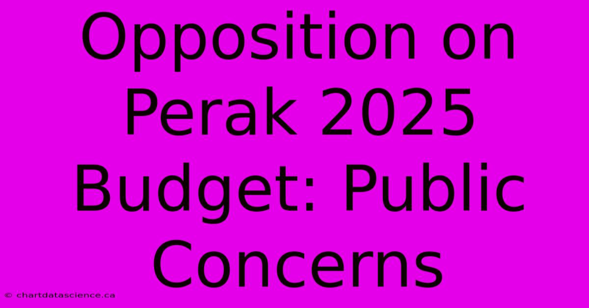 Opposition On Perak 2025 Budget: Public Concerns