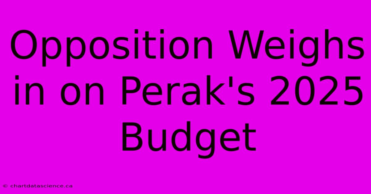 Opposition Weighs In On Perak's 2025 Budget