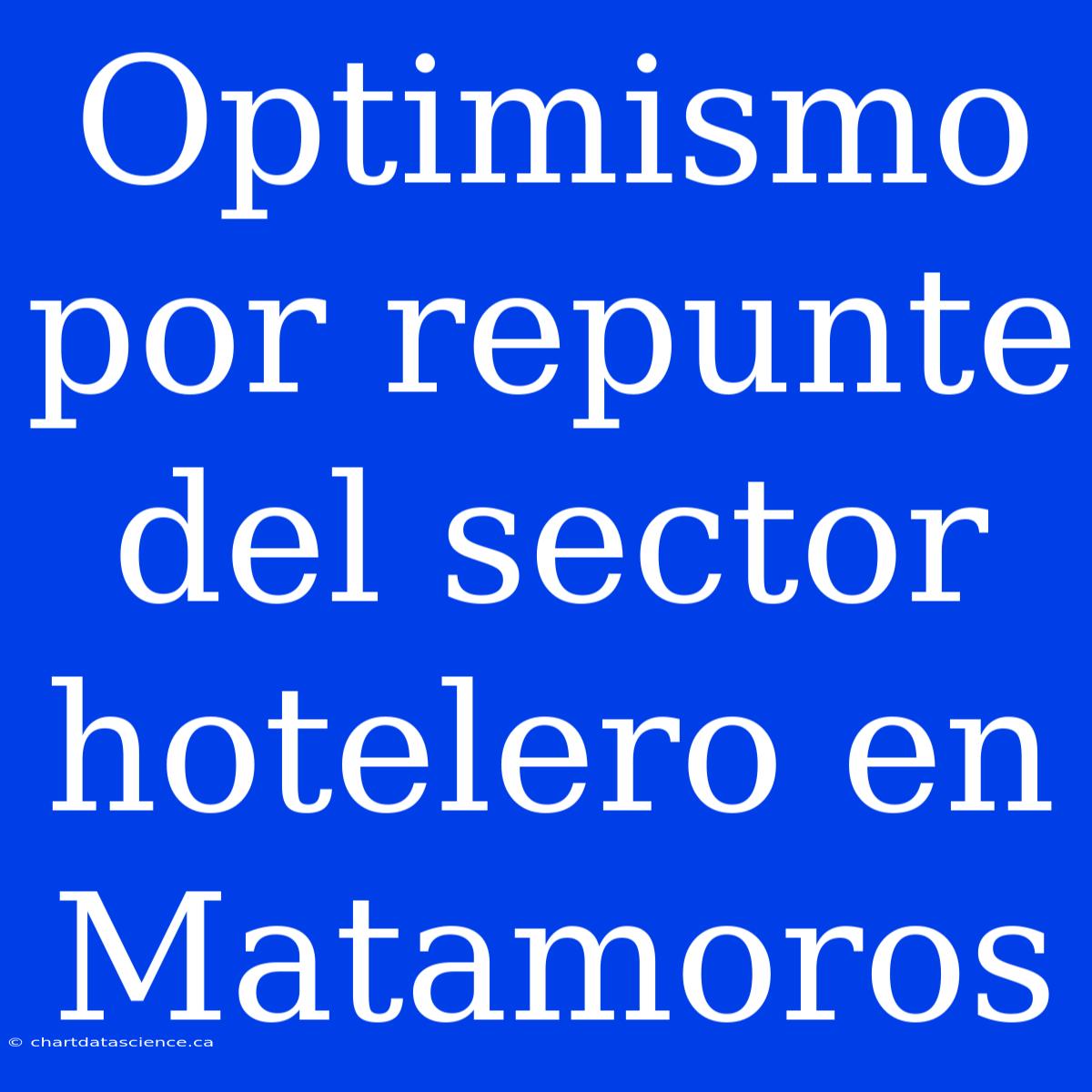 Optimismo Por Repunte Del Sector Hotelero En Matamoros