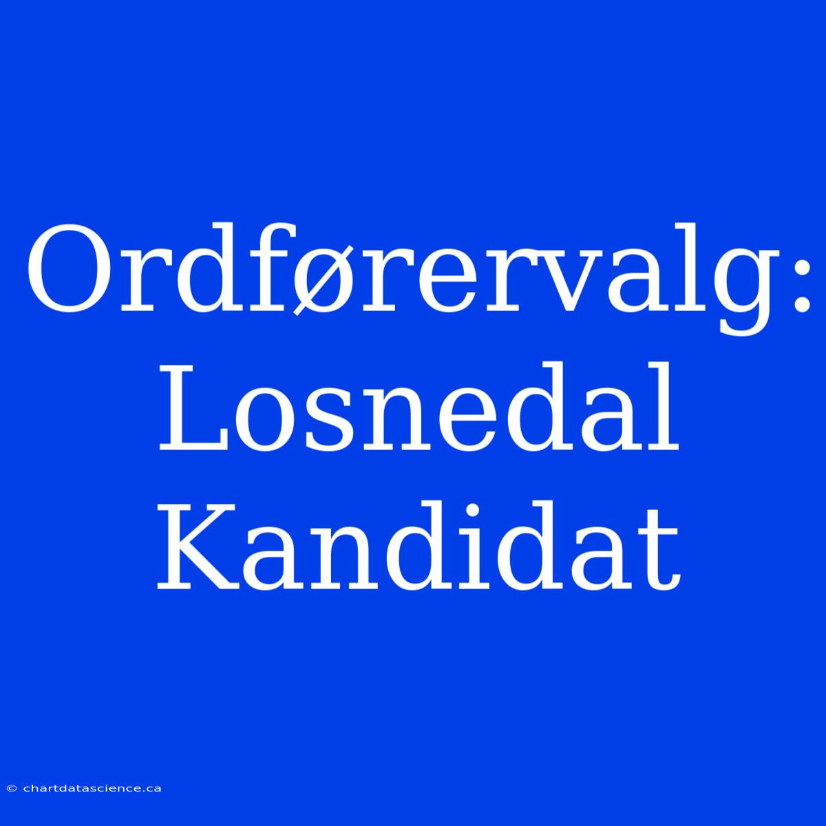 Ordførervalg: Losnedal Kandidat