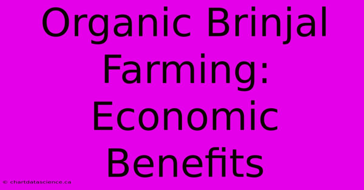 Organic Brinjal Farming: Economic Benefits