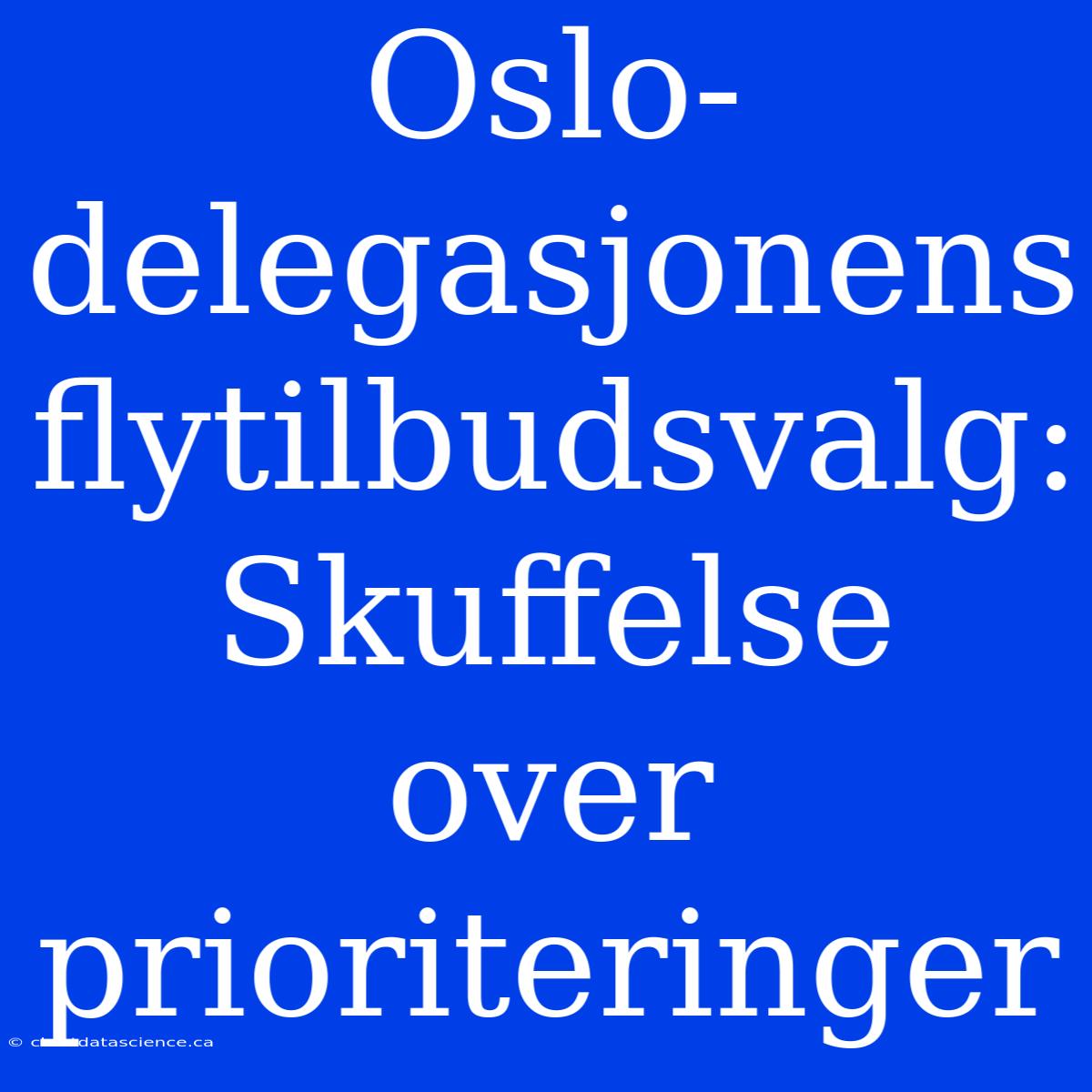 Oslo-delegasjonens Flytilbudsvalg: Skuffelse Over Prioriteringer