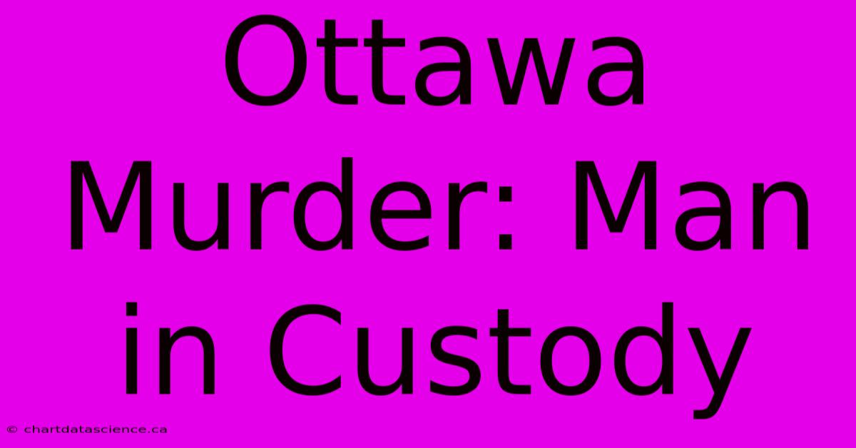 Ottawa Murder: Man In Custody 