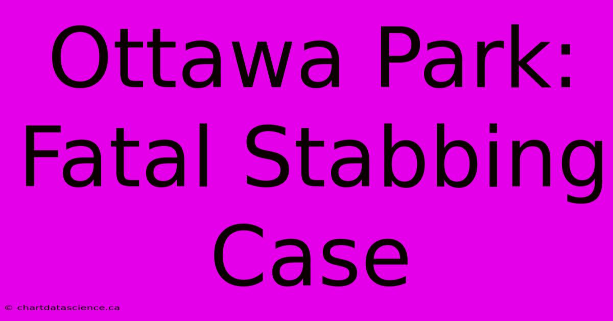 Ottawa Park: Fatal Stabbing Case