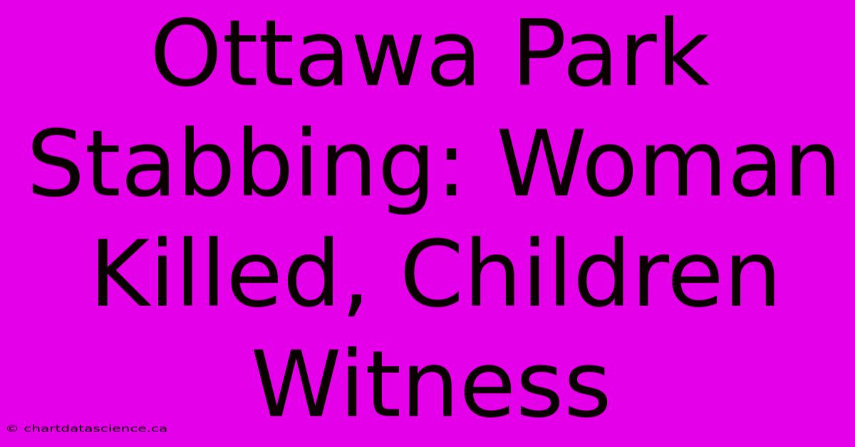 Ottawa Park Stabbing: Woman Killed, Children Witness