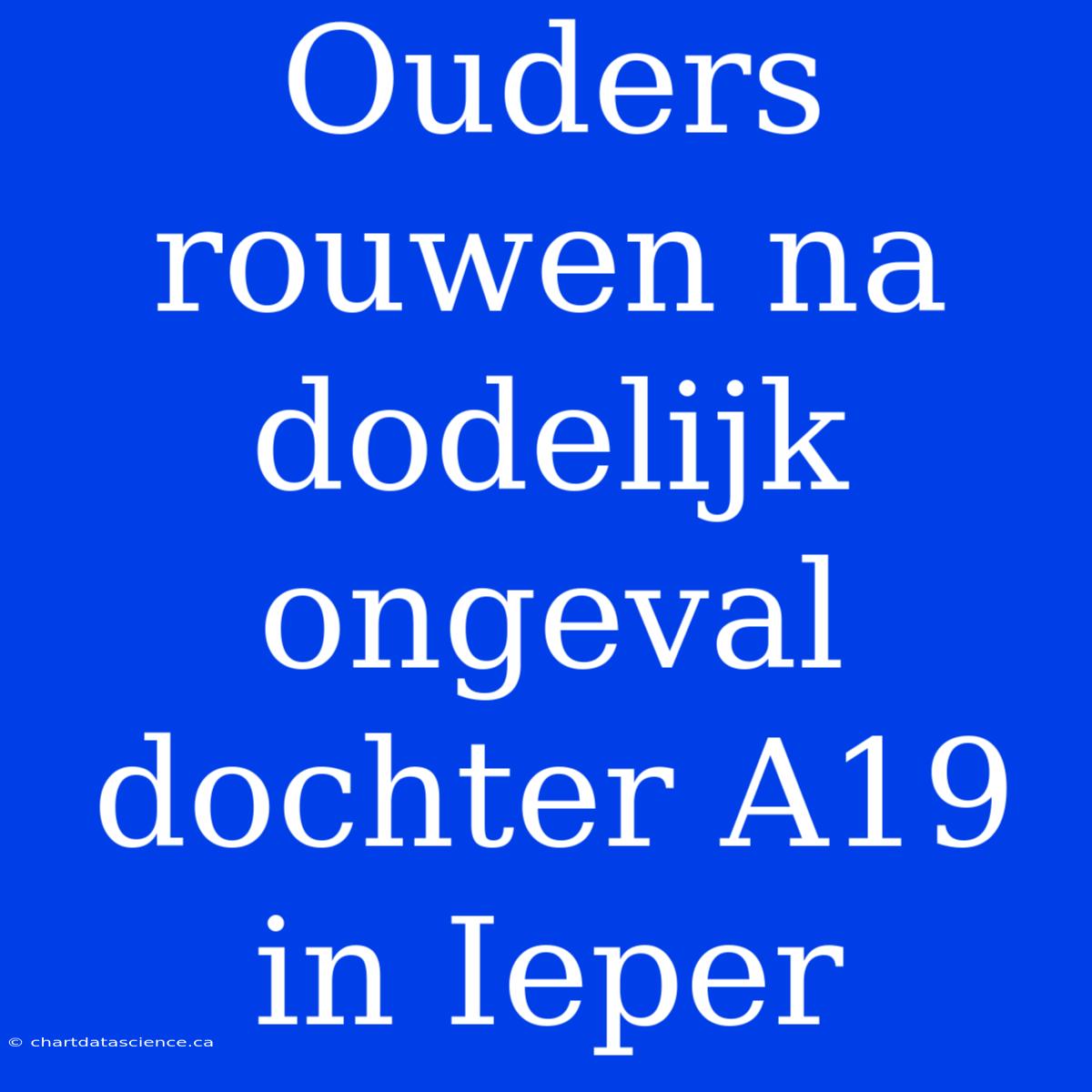 Ouders Rouwen Na Dodelijk Ongeval Dochter A19 In Ieper