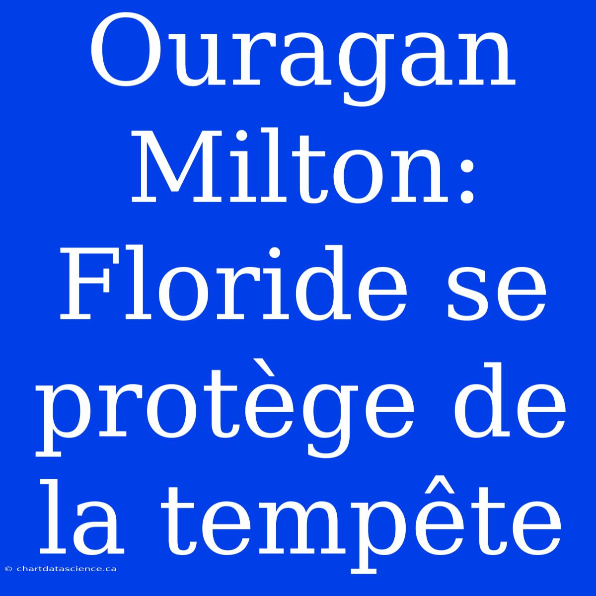 Ouragan Milton: Floride Se Protège De La Tempête