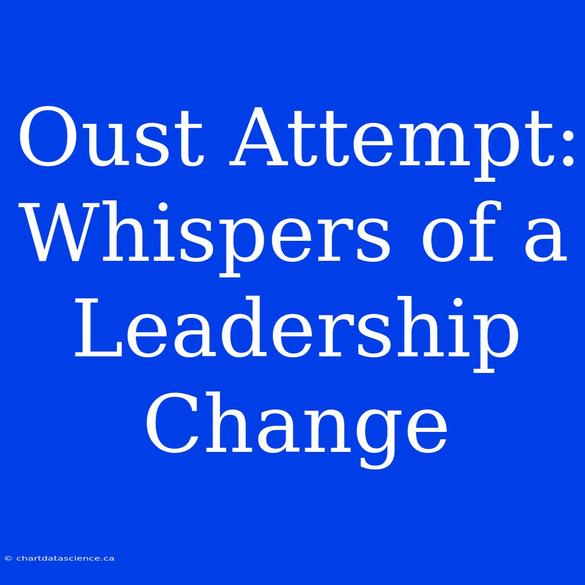 Oust Attempt:  Whispers Of A  Leadership Change