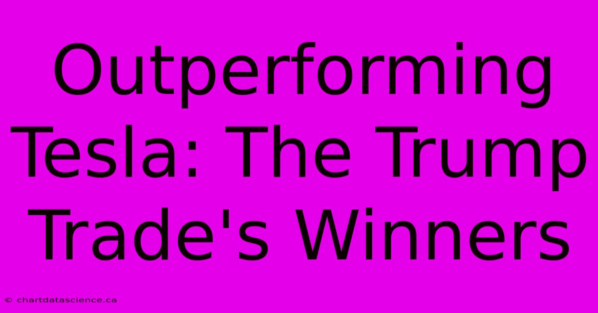 Outperforming Tesla: The Trump Trade's Winners 