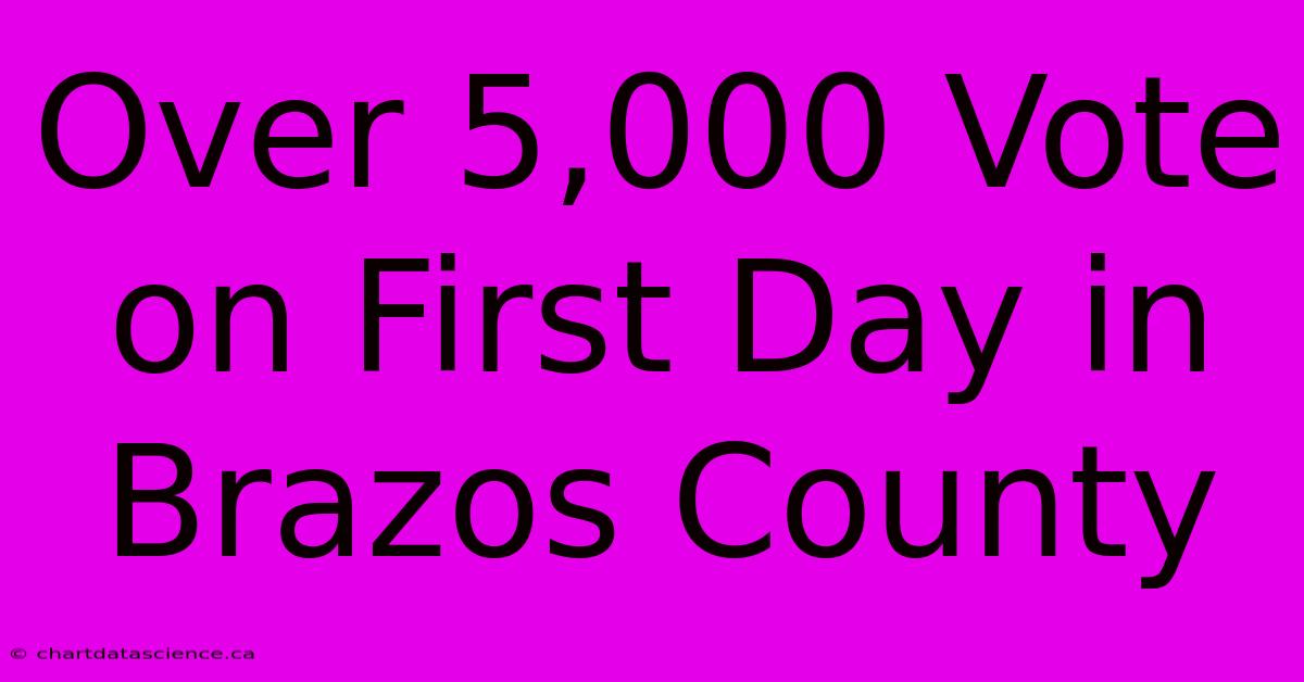 Over 5,000 Vote On First Day In Brazos County