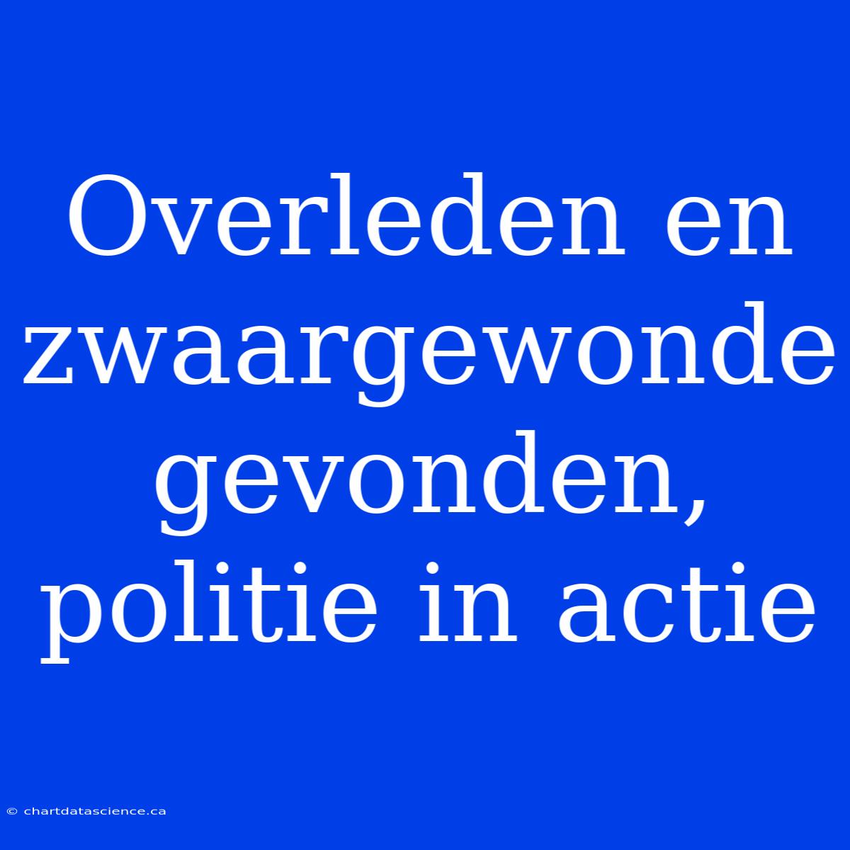 Overleden En Zwaargewonde Gevonden, Politie In Actie