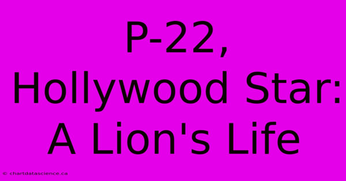 P-22, Hollywood Star: A Lion's Life 