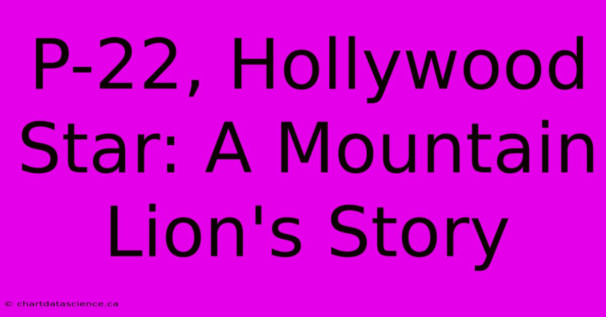 P-22, Hollywood Star: A Mountain Lion's Story 