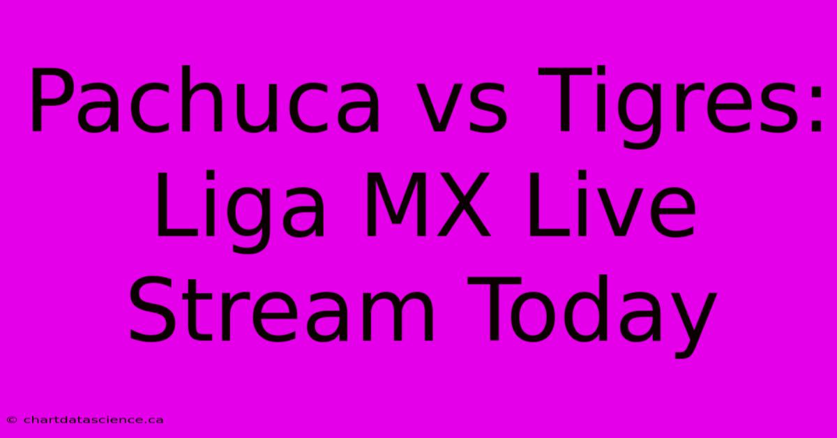 Pachuca Vs Tigres: Liga MX Live Stream Today 