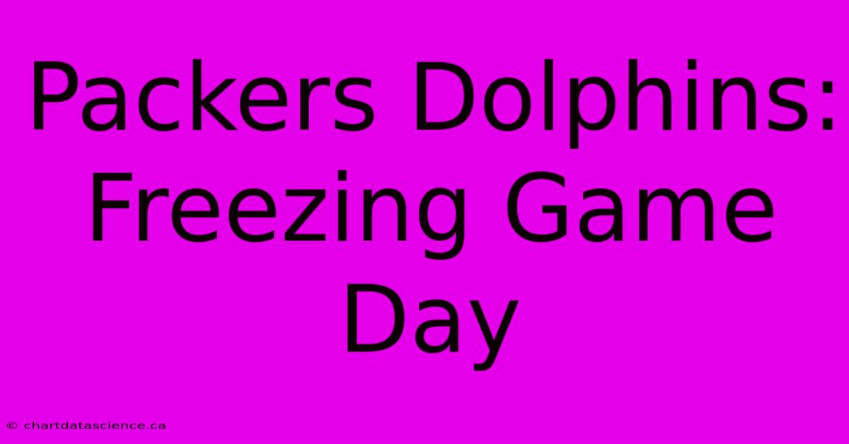 Packers Dolphins: Freezing Game Day