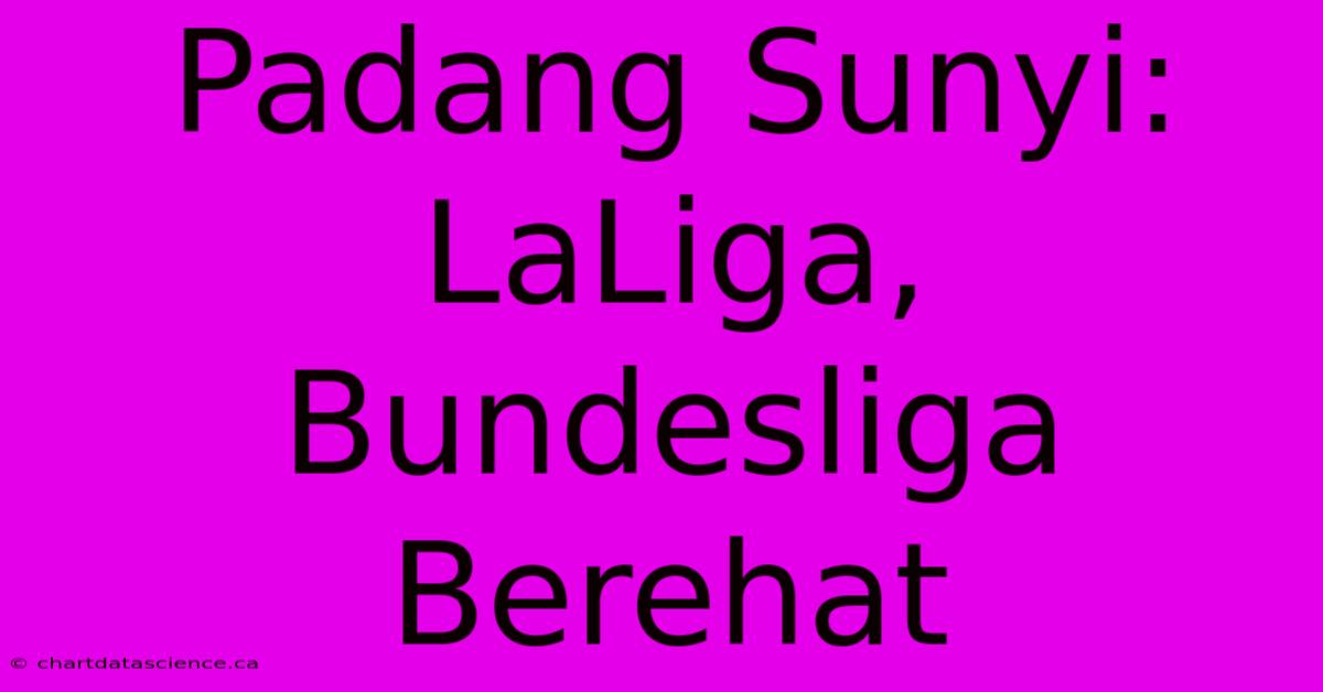 Padang Sunyi: LaLiga, Bundesliga Berehat