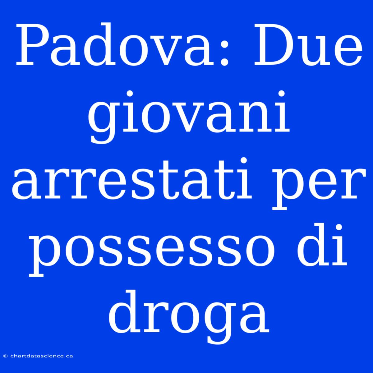 Padova: Due Giovani Arrestati Per Possesso Di Droga