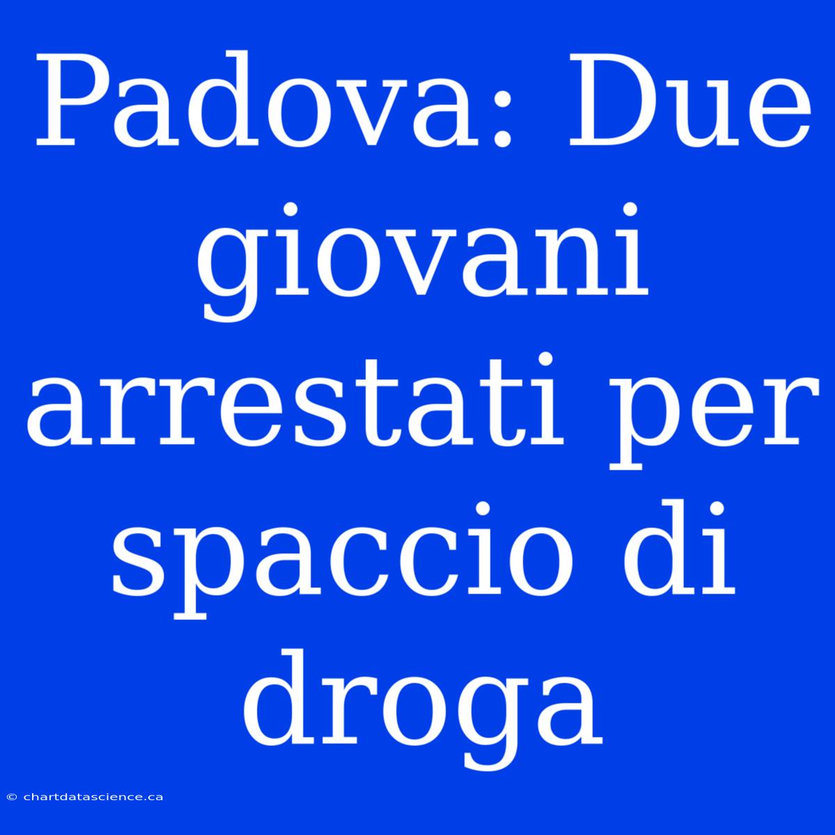 Padova: Due Giovani Arrestati Per Spaccio Di Droga