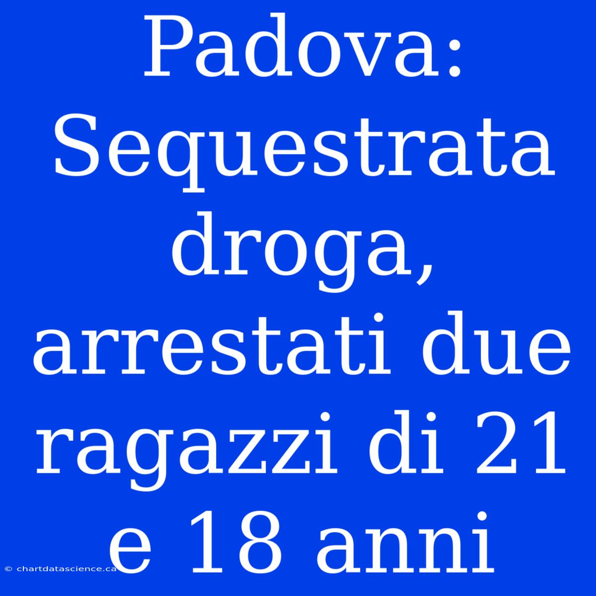 Padova: Sequestrata Droga, Arrestati Due Ragazzi Di 21 E 18 Anni