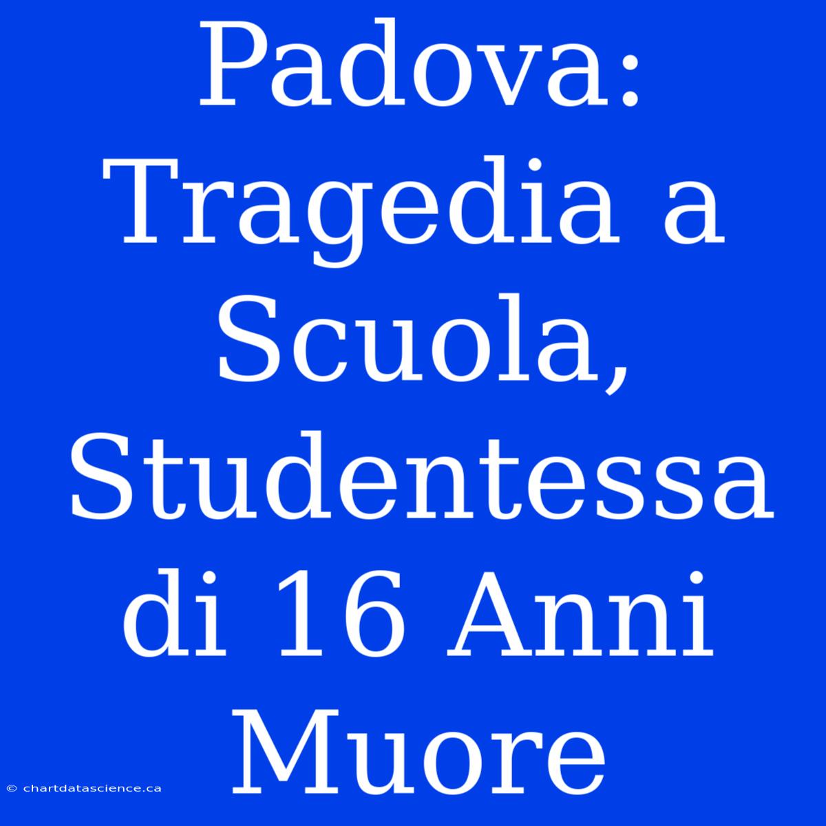 Padova: Tragedia A Scuola, Studentessa Di 16 Anni Muore