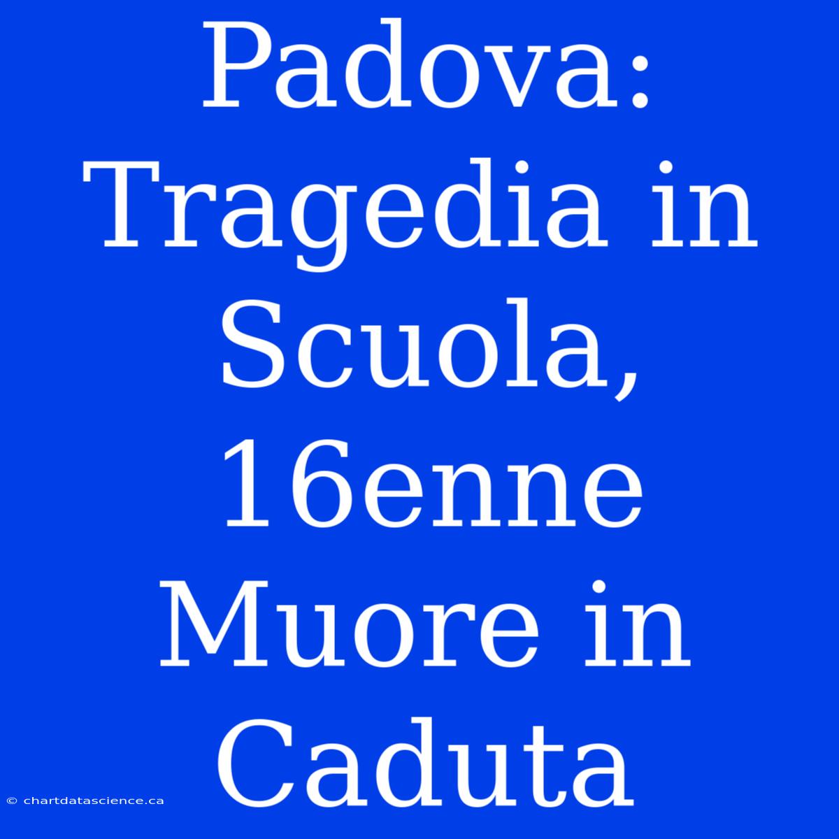 Padova: Tragedia In Scuola, 16enne Muore In Caduta