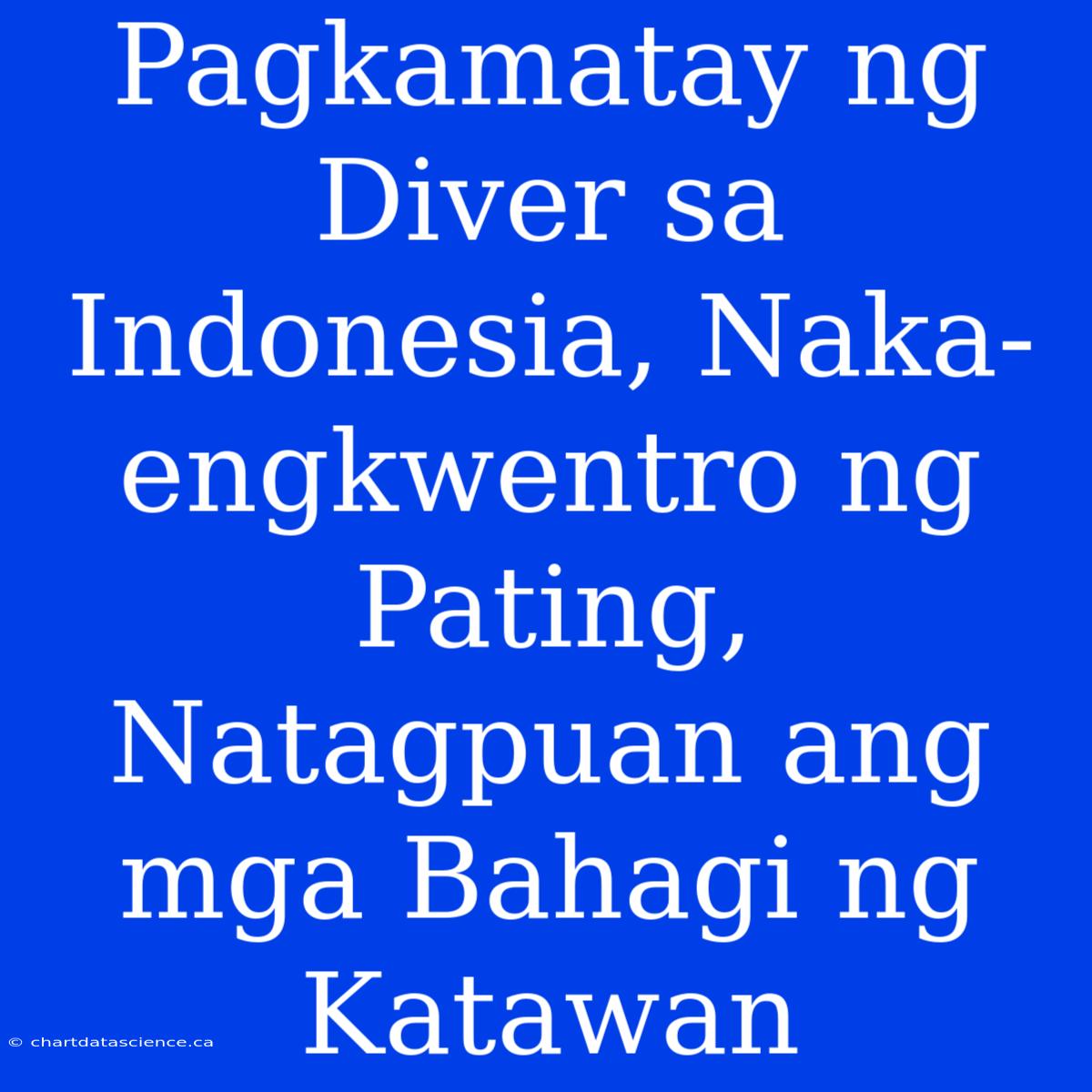 Pagkamatay Ng Diver Sa Indonesia, Naka-engkwentro Ng Pating, Natagpuan Ang Mga Bahagi Ng Katawan