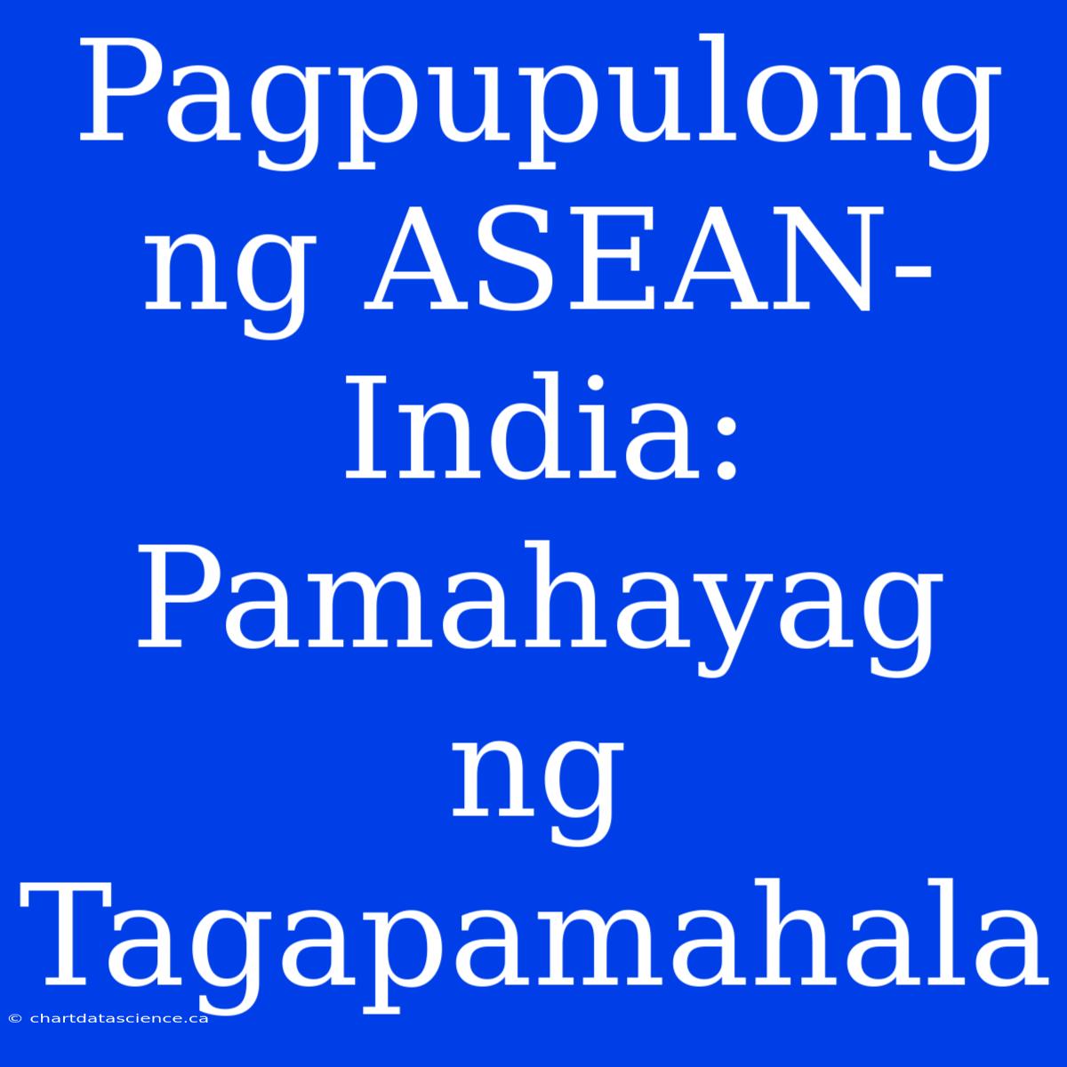 Pagpupulong Ng ASEAN-India: Pamahayag Ng Tagapamahala