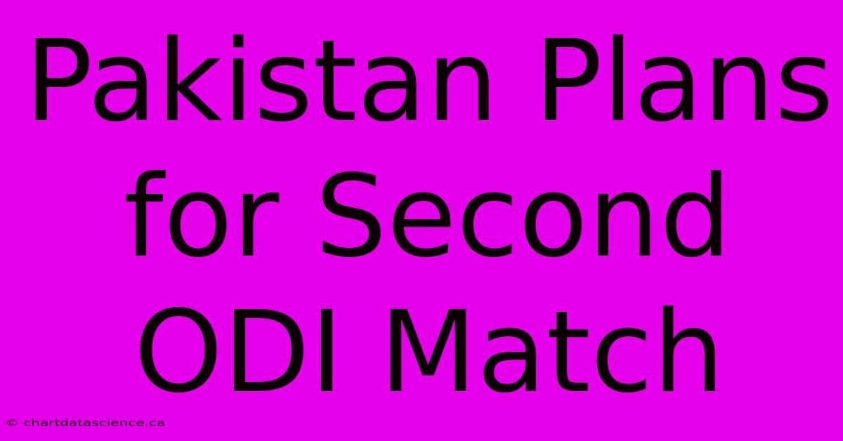 Pakistan Plans For Second ODI Match 