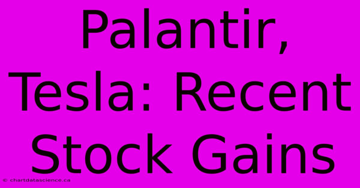 Palantir, Tesla: Recent Stock Gains