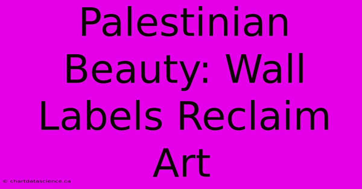 Palestinian Beauty: Wall Labels Reclaim Art