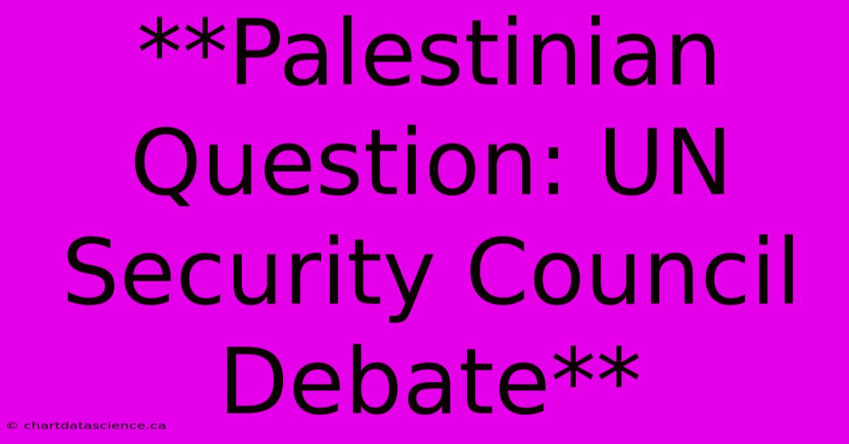 **Palestinian Question: UN Security Council Debate**