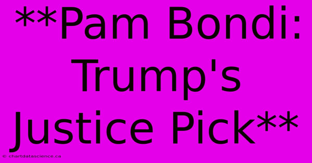 **Pam Bondi: Trump's Justice Pick**