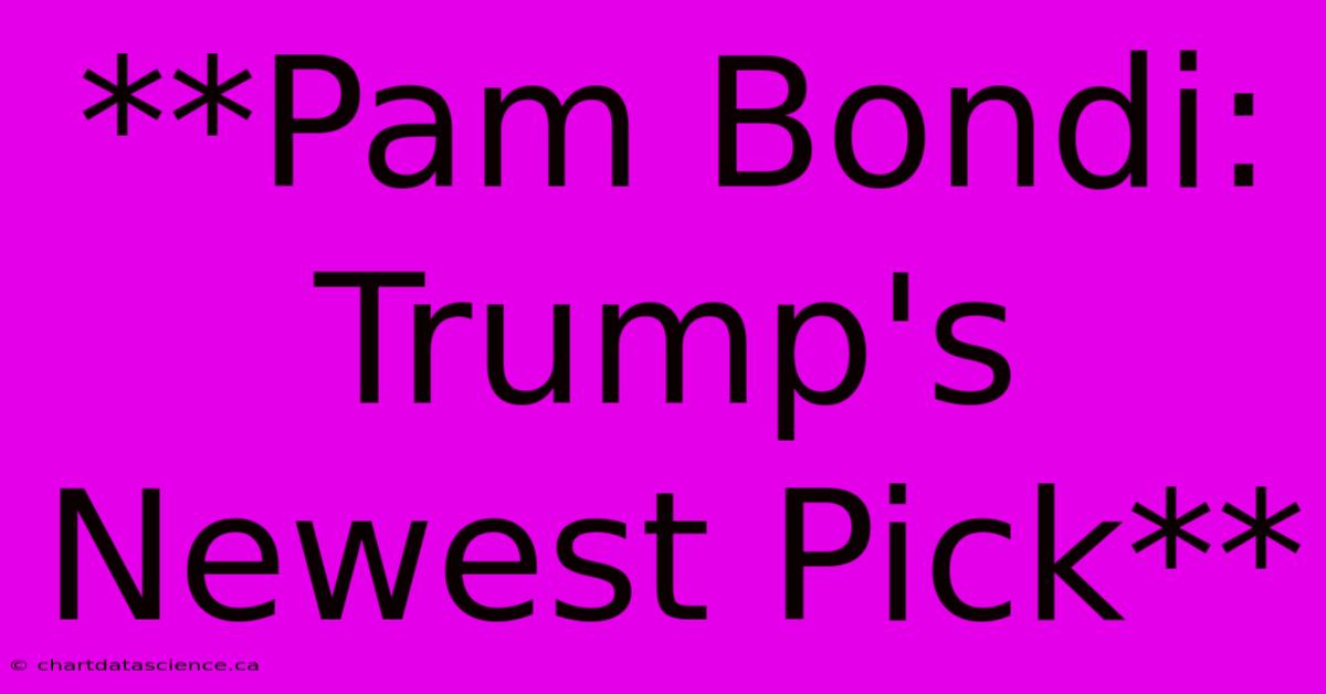 **Pam Bondi: Trump's Newest Pick**