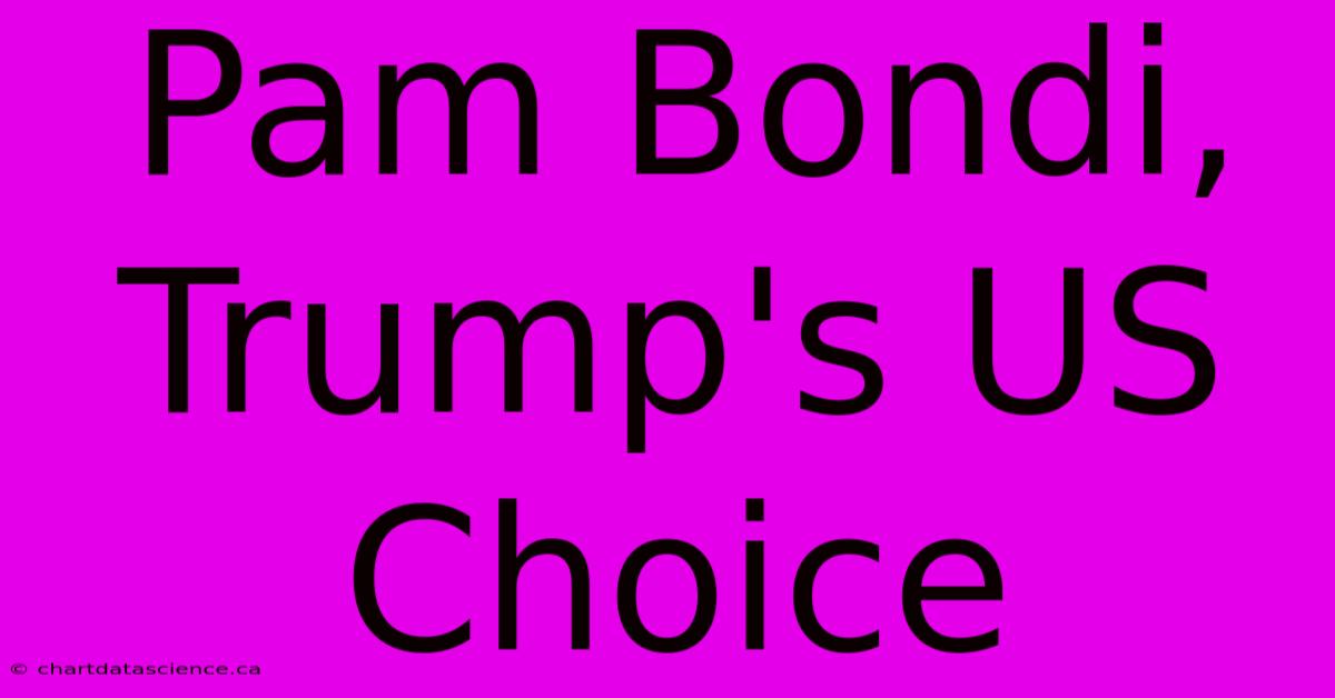 Pam Bondi, Trump's US Choice