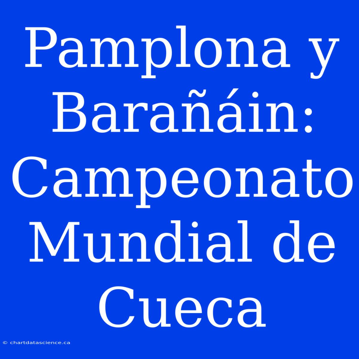 Pamplona Y Barañáin: Campeonato Mundial De Cueca