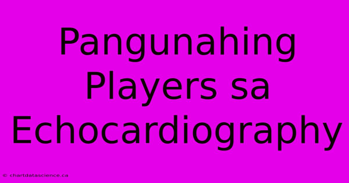 Pangunahing Players Sa Echocardiography