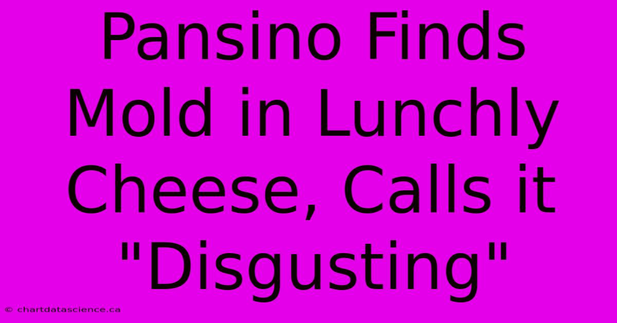 Pansino Finds Mold In Lunchly Cheese, Calls It 